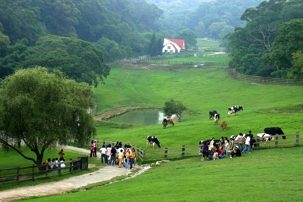 Flying Cow Ranch Tongxiao Exterior foto